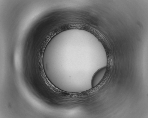 X0000112880764200908211051