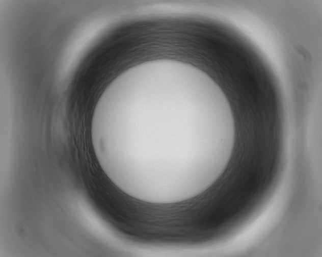 X0000112880766200908211051