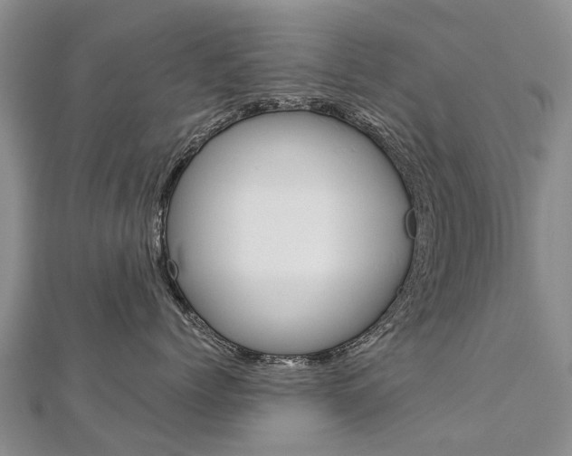 X0000112880768200908211051
