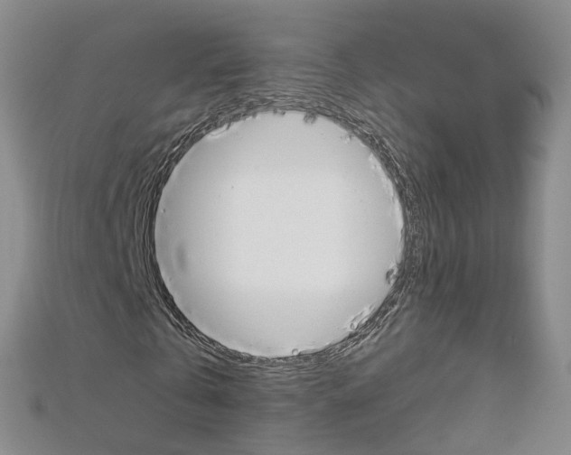 X0000112880769200908211050
