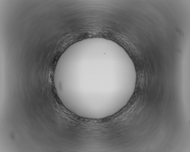 X0000112880770200908211050