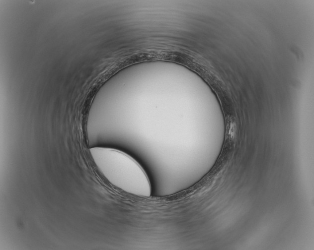 X0000112880771200908211050