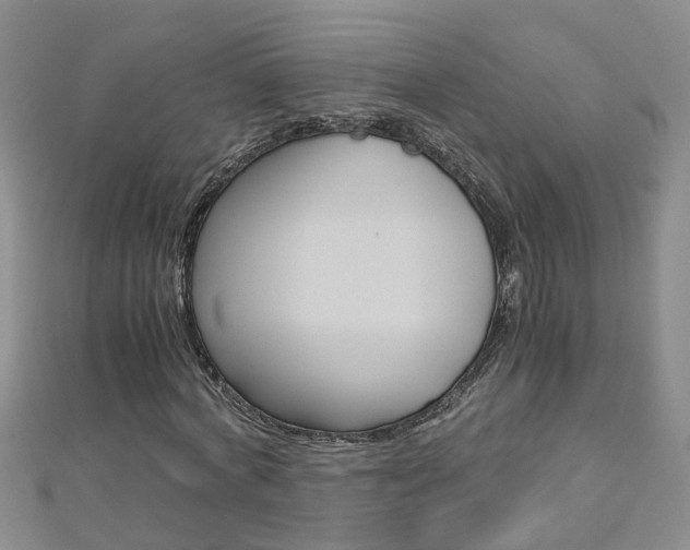 X0000112880772200908211050