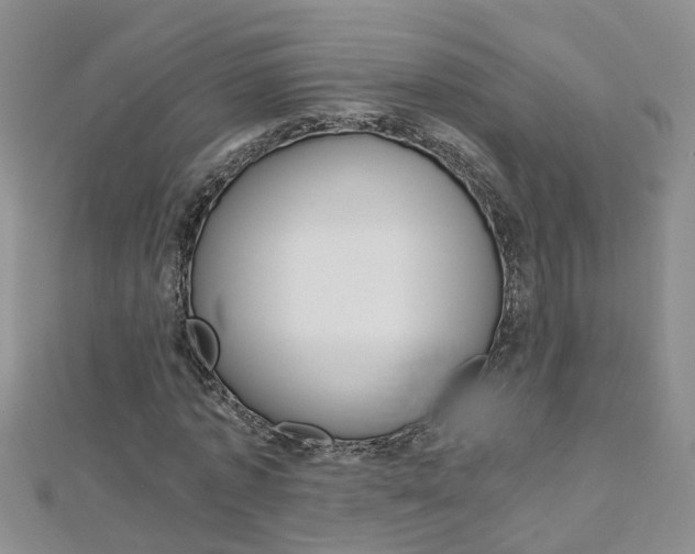 X0000112880773200908211050