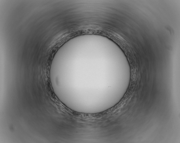 X0000112880774200908211050