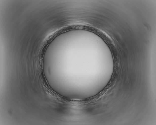 X0000112880775200908211050