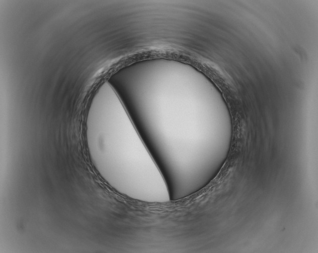 X0000112880776200908211050