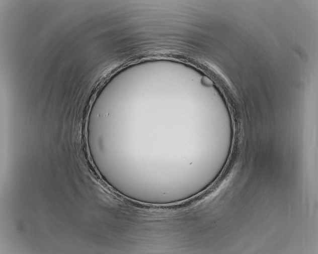 X0000112880777200908211050