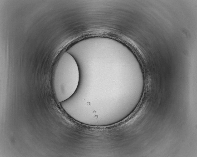 X0000112880778200908211050