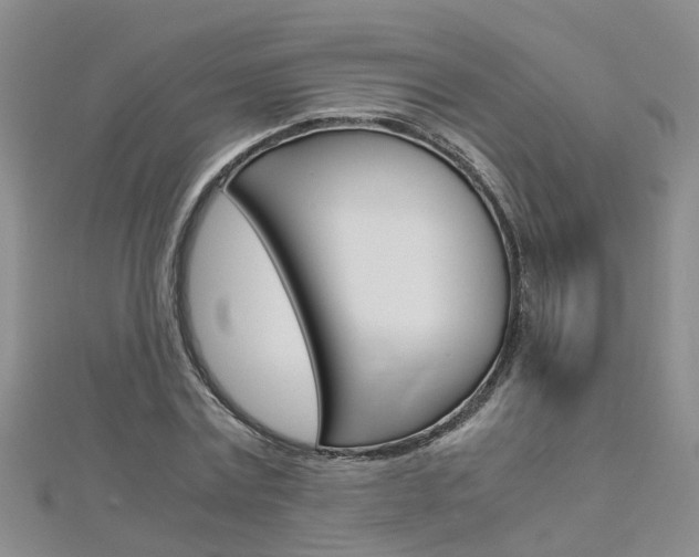 X0000112880779200908211050