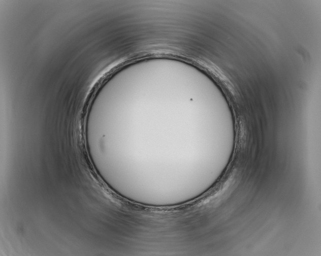 X0000112880782200908211050