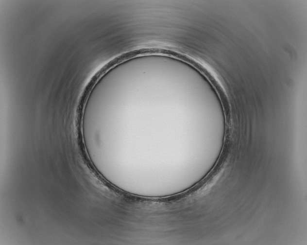 X0000112880783200908211050