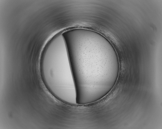 X0000112880784200908211050