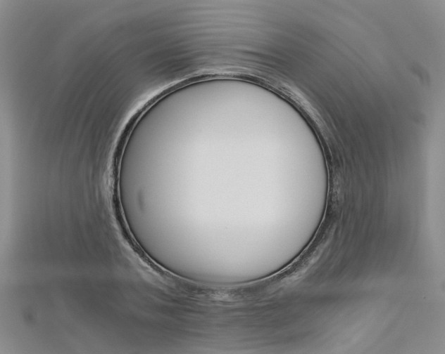 X0000112880787200908211050