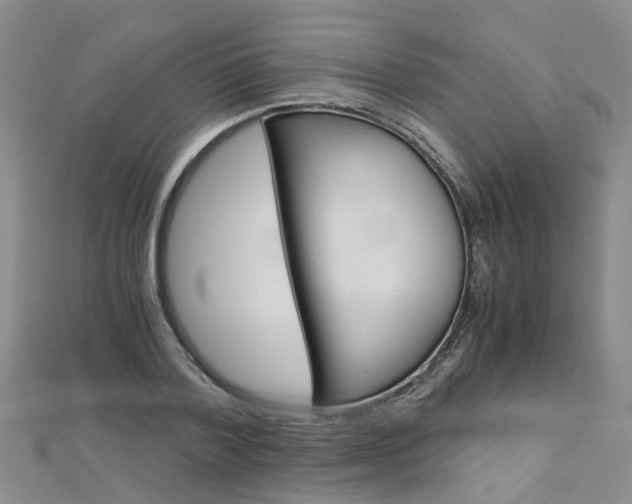 X0000112880788200908211050