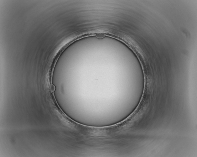X0000112880789200908211050