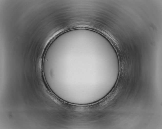 X0000112880790200908211050