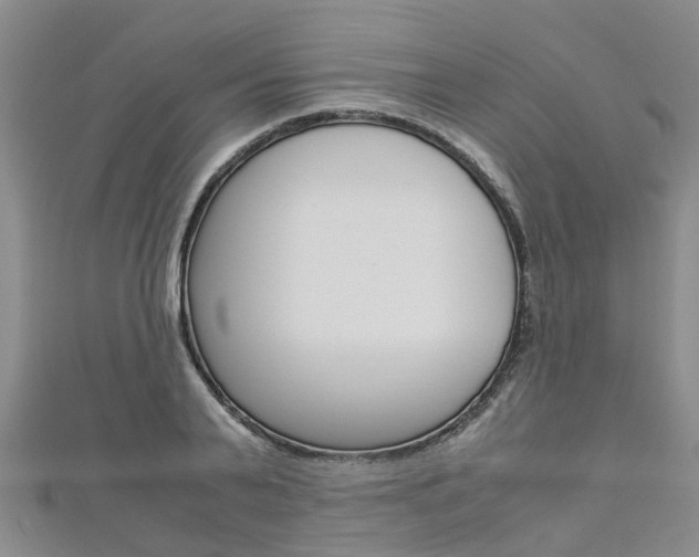 X0000112880791200908211050