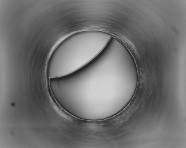 X0000112880792200908211050