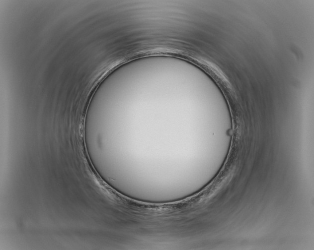 X0000112880793200908211050
