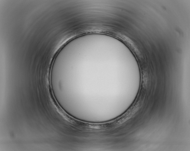 X0000112880794200908211050