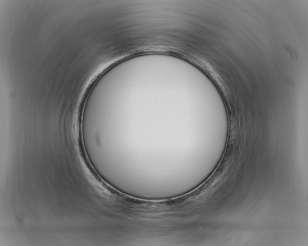 X0000112880795200908211050