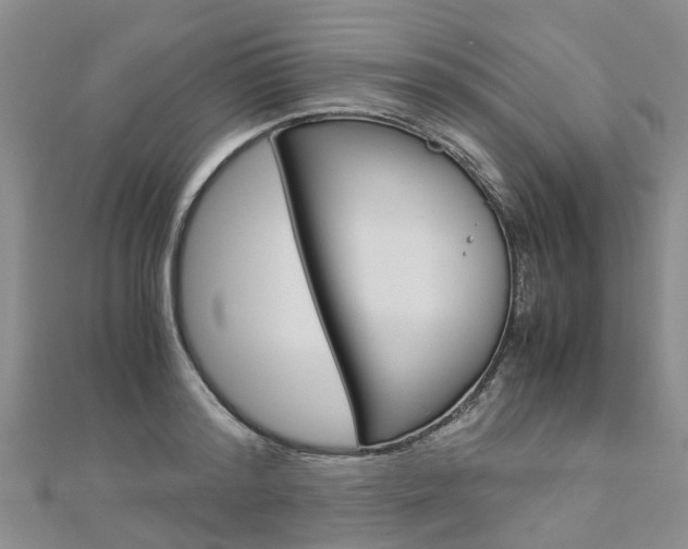 X0000112880796200908211050