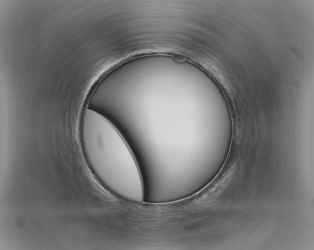 X0000112880797200908211050