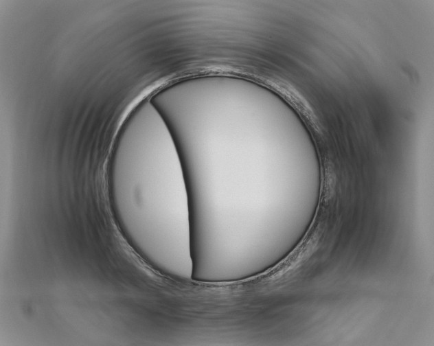 X0000112880798200908211050