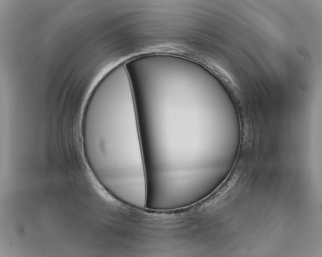 X0000112880800200908211050