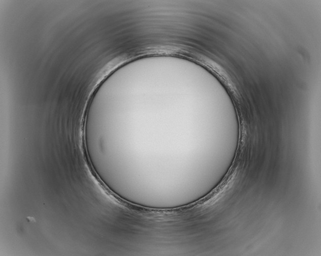 X0000112880802200908211050