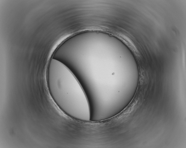 X0000112880804200908211050