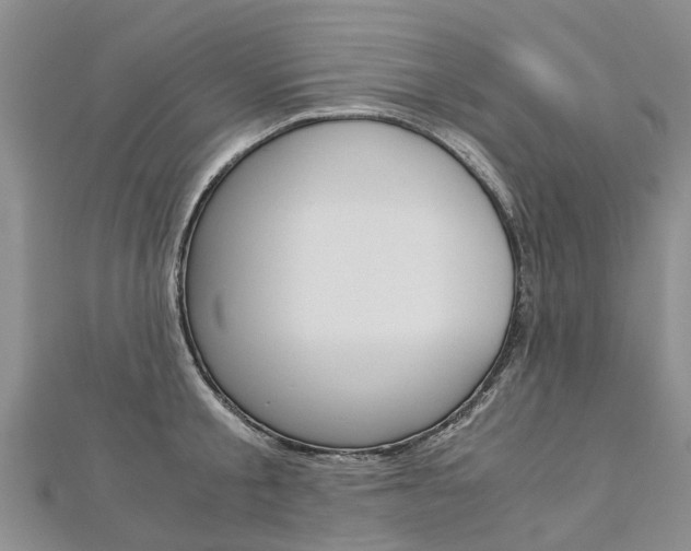 X0000112880805200908211050