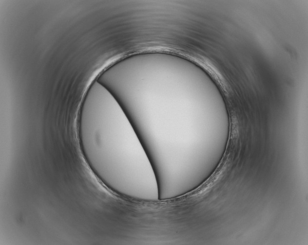 X0000112880806200908211050
