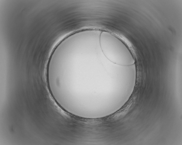 X0000112880807200908211050