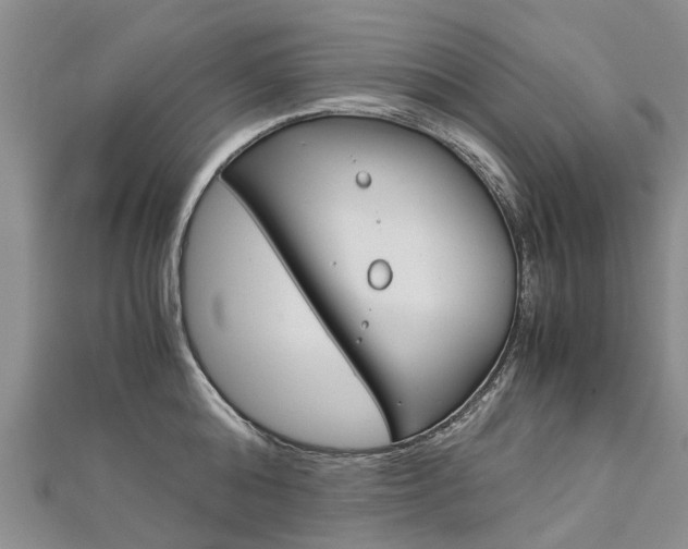 X0000112880808200908211050