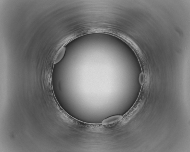 X0000112880809200908211050