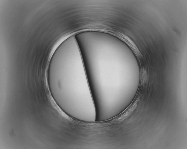 X0000112880812200908211050