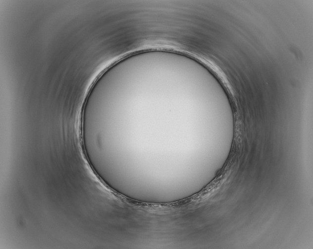 X0000112880815200908211050