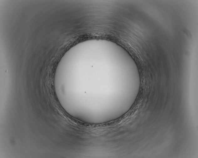 X0000112880817200908211049