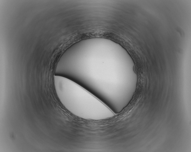 X0000112880818200908211049
