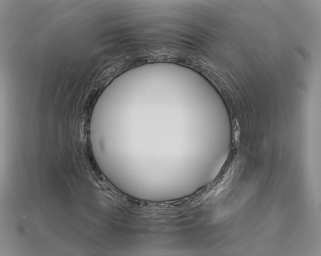X0000112880819200908211049