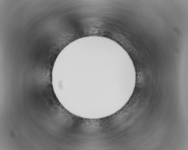 X0000112880820200908211049