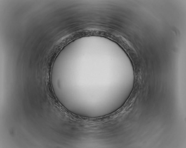 X0000112880821200908211049