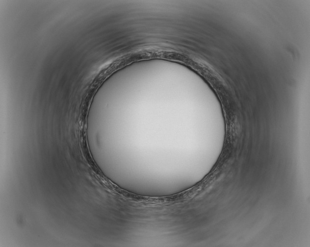 X0000112880822200908211049