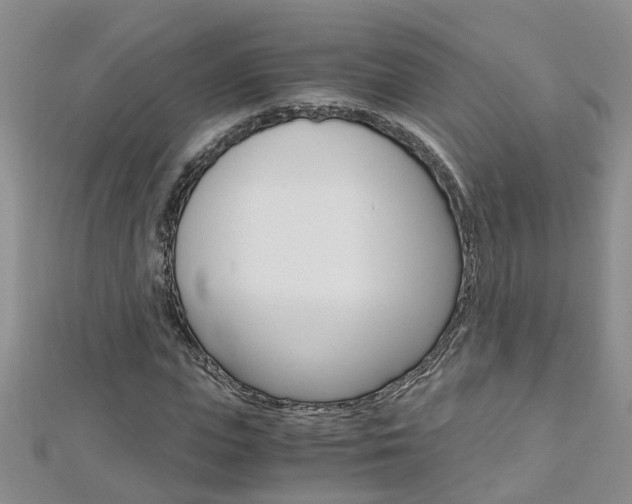 X0000112880823200908211049