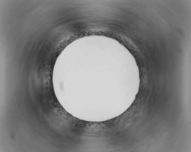 X0000112880824200908211049