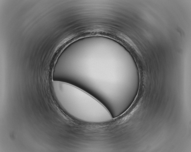 X0000112880826200908211049