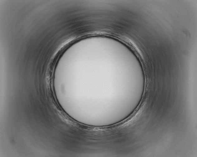 X0000112880827200908211049
