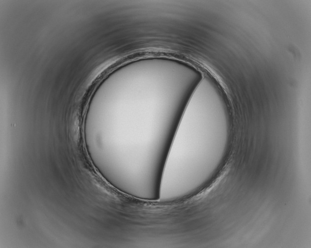 X0000112880829200908211049